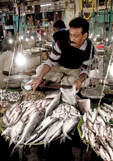 Biggest Fish Market In India